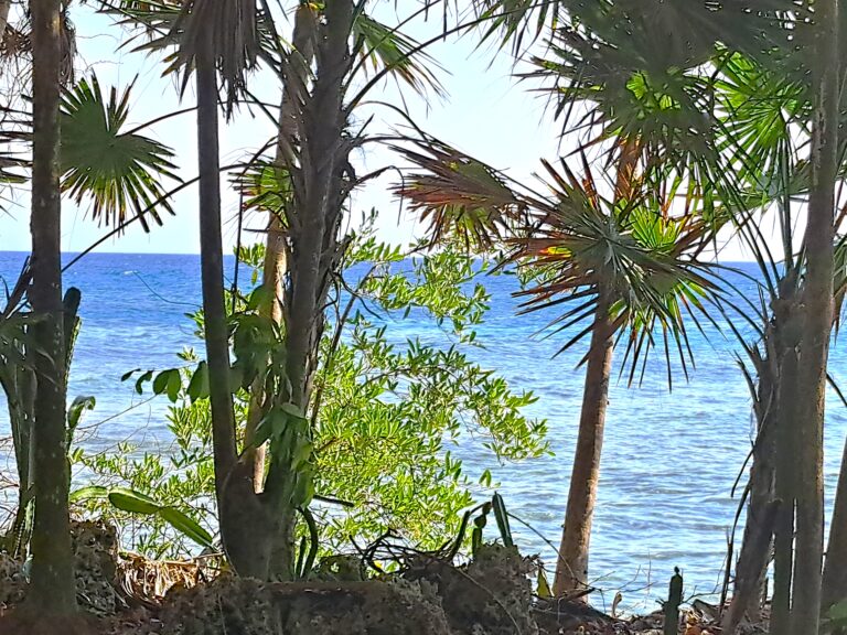 Roatan: 3. Besuch von "Bradys Cay" - Bay Islands Honduras