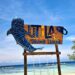 Die Bay Islands von Honduras - Utila 10 Beitragsbild Utila Tigerhai