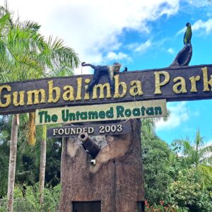 Der Gumbalimbapark Südküste Roatan West End - Bay Islands Honduras