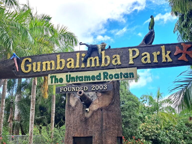 Der Gumbalimbapark Südküste Roatan West End - Bay Islands Honduras