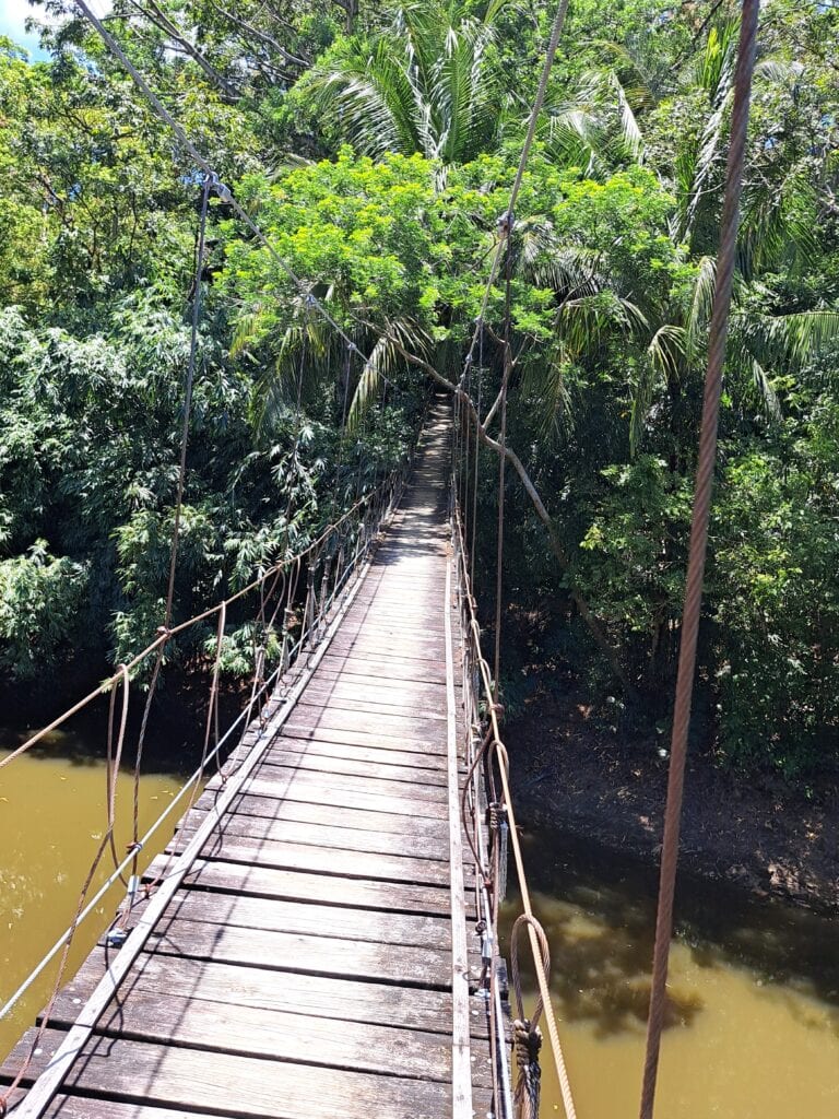 Der Gumbalimbapark Südküste Roatan West End - Bay Islands Honduras 9 Haengebruecke Bambus