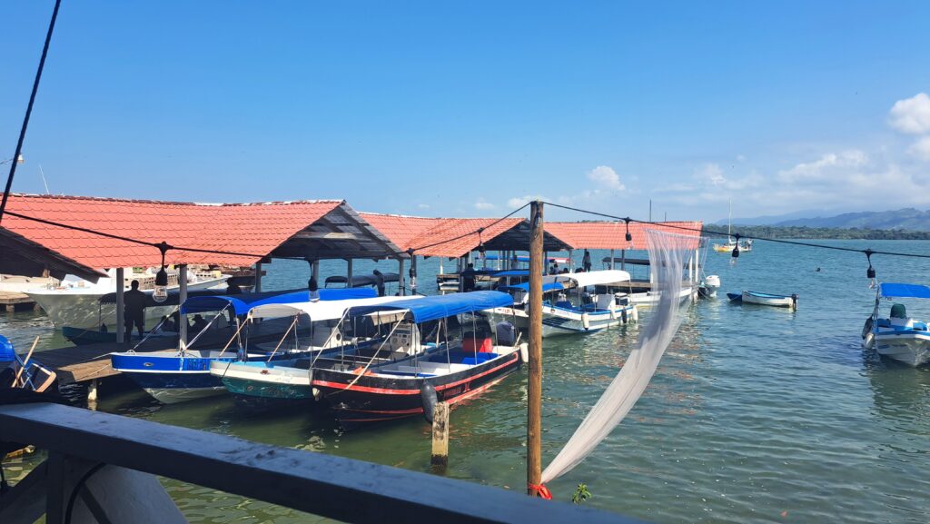 Taxiboote in Livingston