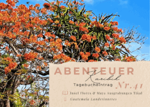 test CVP 1 Karibik - Tagebuch - Band II - Nr. 41