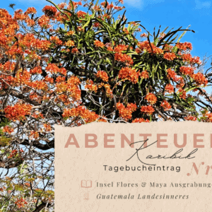 BLOG Weltumsegelung 1 Karibik - Tagebuch - Band II - Nr. 41