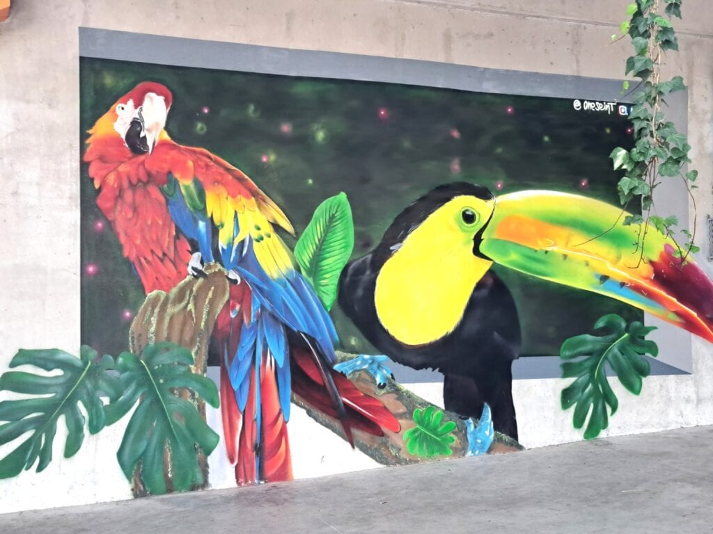 La Aurora - der Zoo von Guatemala - Stadt 2 Papagei und Tukan