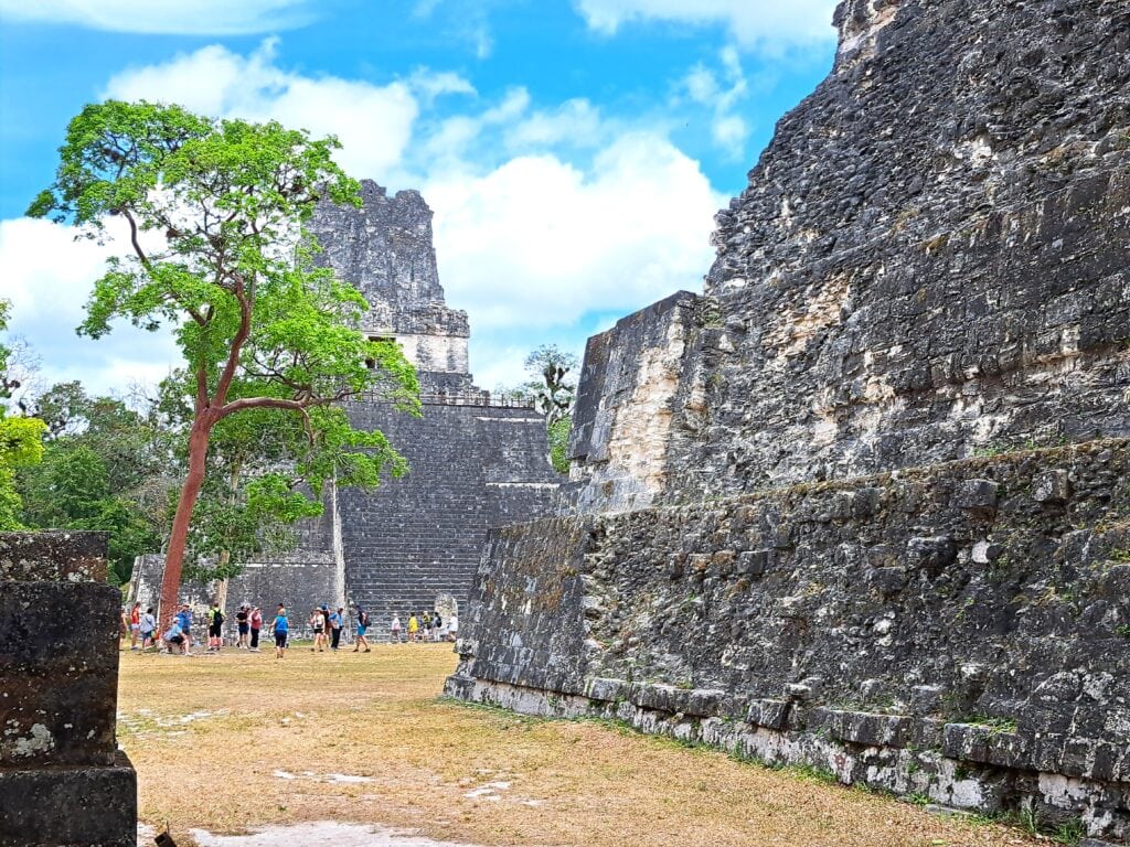Tikal 4