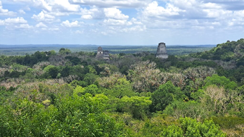 Tikal Beitragsbild