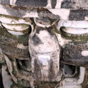 Tikal - Maya - Ausgrabung in Guatemala