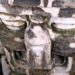 Tikal - Maya - Ausgrabung in Guatemala 16 Tikal Gesicht