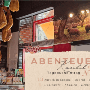 BLOG Weltumsegelung 3 Karibik - Tagebuch - Band II - Nr. 44