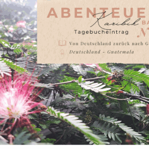 Karibik - Tagebuch III - Von Deutschland zurück nach Guatemala