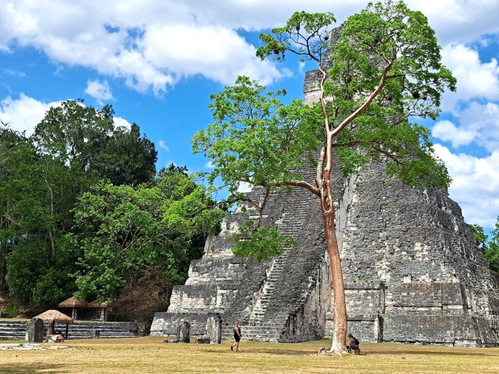 TR Tikal