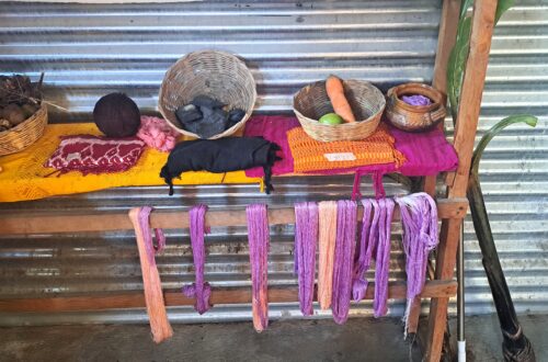 Webkunst 7 Naturprodukte