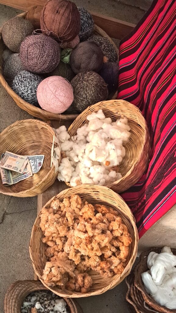 Webkunst 8 Baumwolle