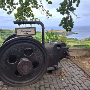 Traditionelle Teeherstellung auf den Azoren – grünes Gold im Atlantik