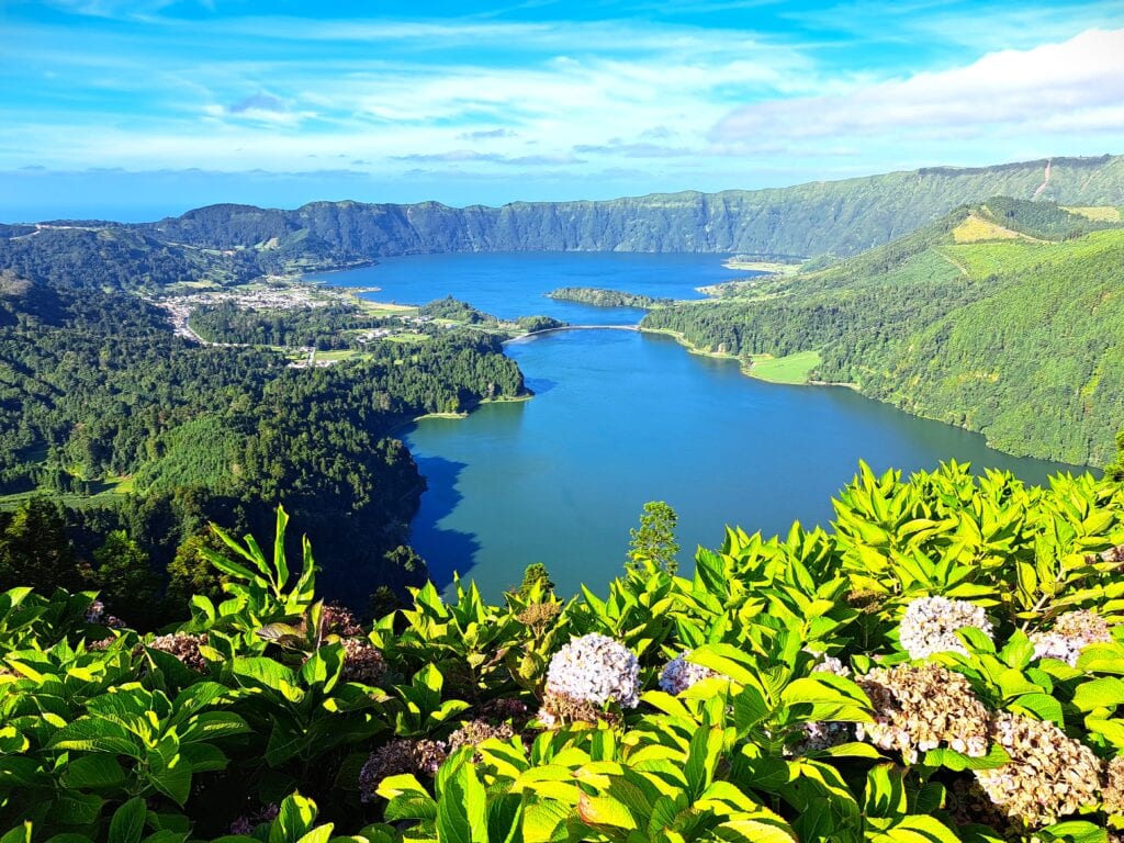 Hortensien vor dem Lago