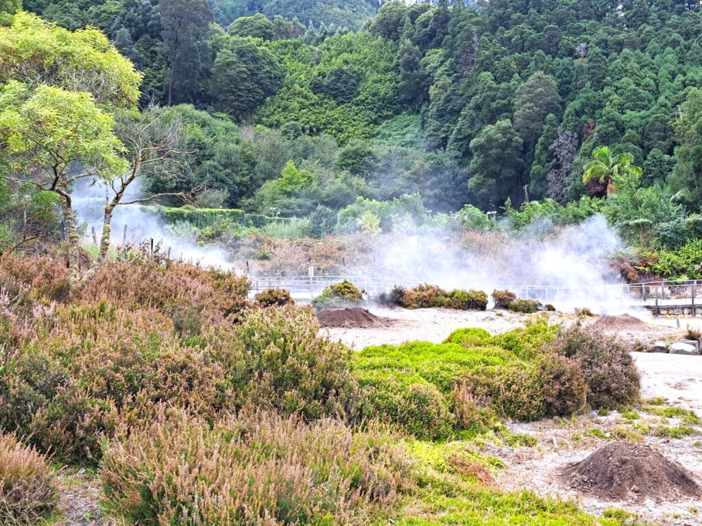 Sao Miguel Bericht 1