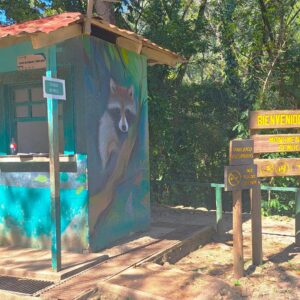 Semuc Champey – Naturwunder im guatemaltekischen Dschungel