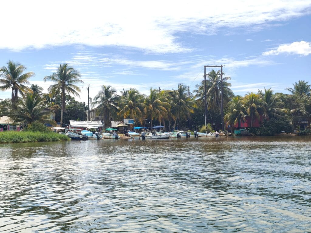 Ankern vor Monkeytown