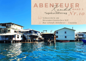 Karibik - Tagebuch III - Schnorcheln am Mesoamerikanischen Riff