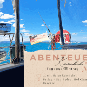 Karibik - Tagebuch III - Hol Chan Marine Reserves - Haie hautnah