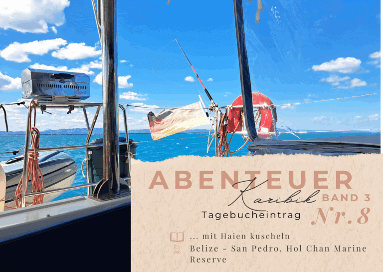 Karibik - Tagebuch III - Hol Chan Marine Reserves - Haie hautnah