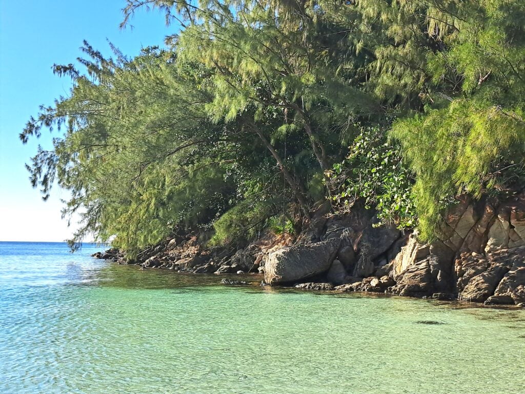 Michael Rock Nahaufnahme