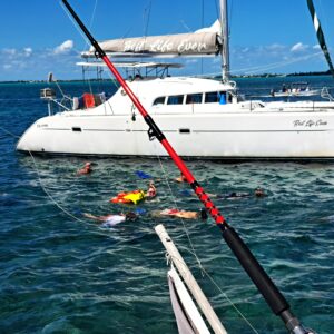 Kolumne: Mensch und Meer - Schnorchelnd eine neue Welt entdecken