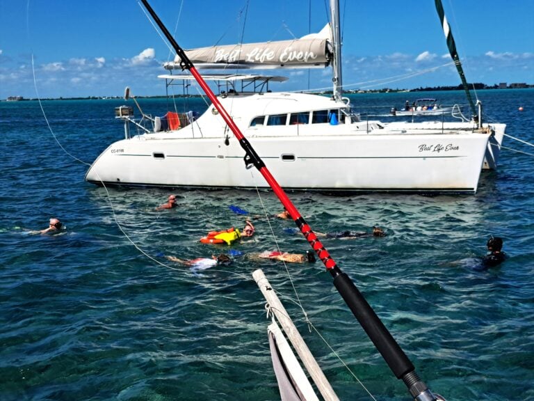 Kolumne: Mensch und Meer - Schnorchelnd eine neue Welt entdecken