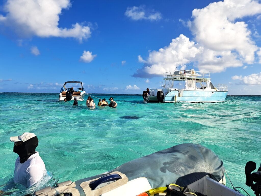 Ankunft in Stingray City