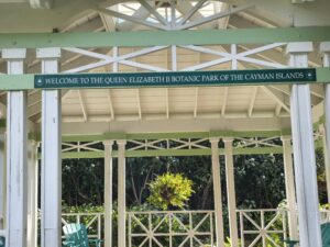Cayman Islands: Queen Elisabeth II Botanic Park and Blue Iguana Conversation