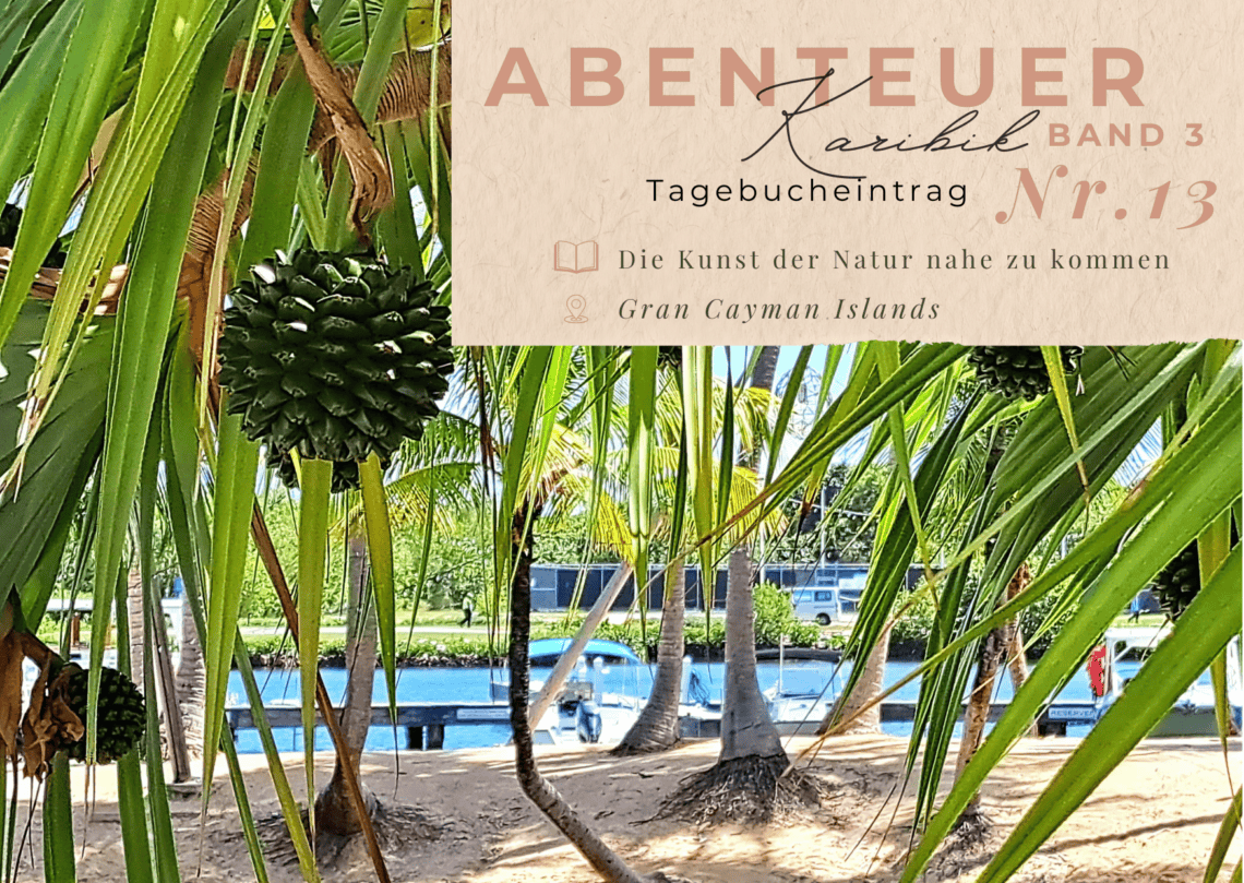 Karibiktagebuch III 13 Die Kunst der Natur nahe zu kommen