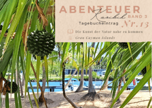 Karibik - Tagebuch - III - Die Kunst der Natur nahe zu kommen