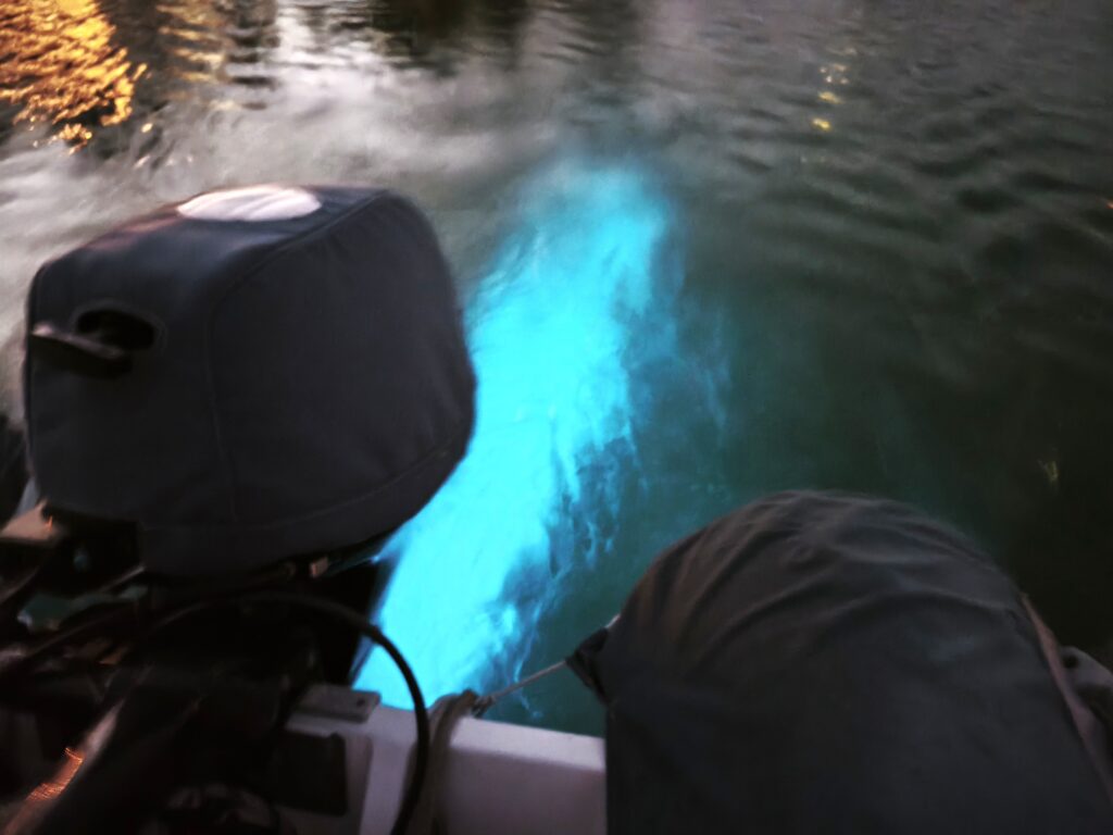 Meeresleuchten Motor