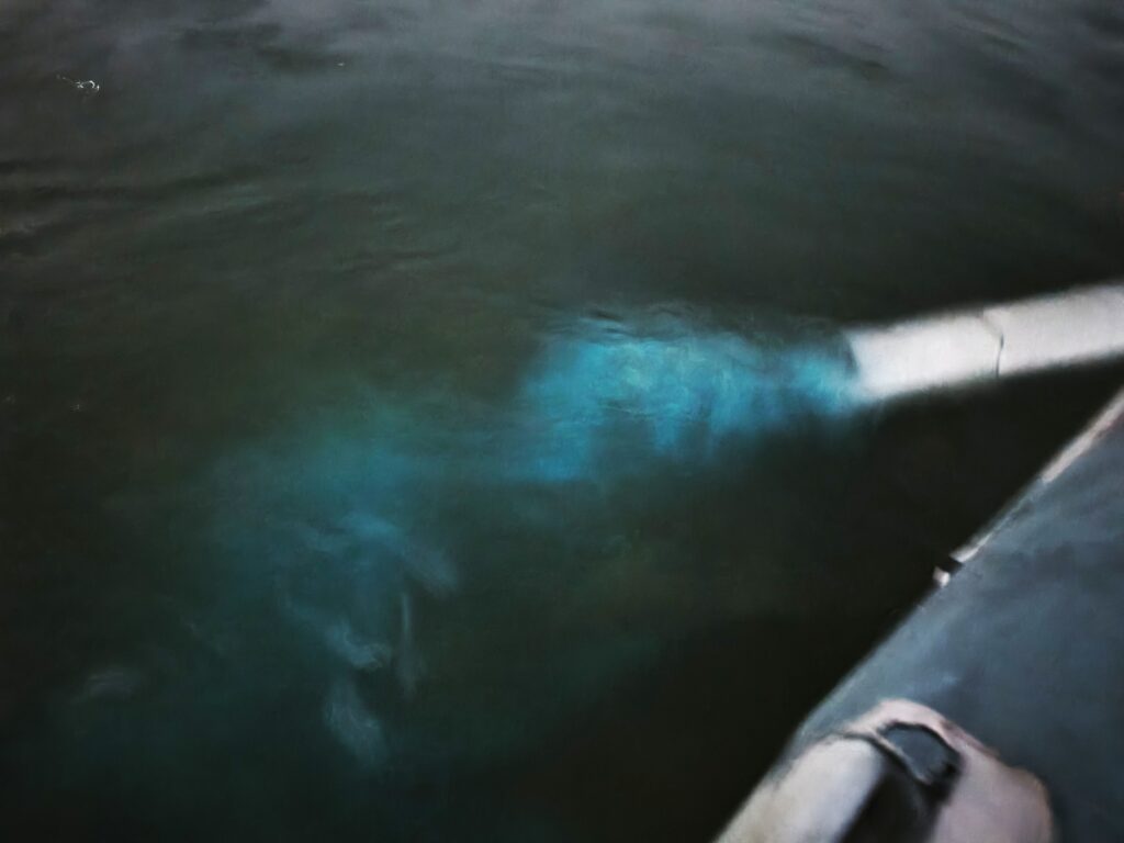 Meeresleuchten Paddel