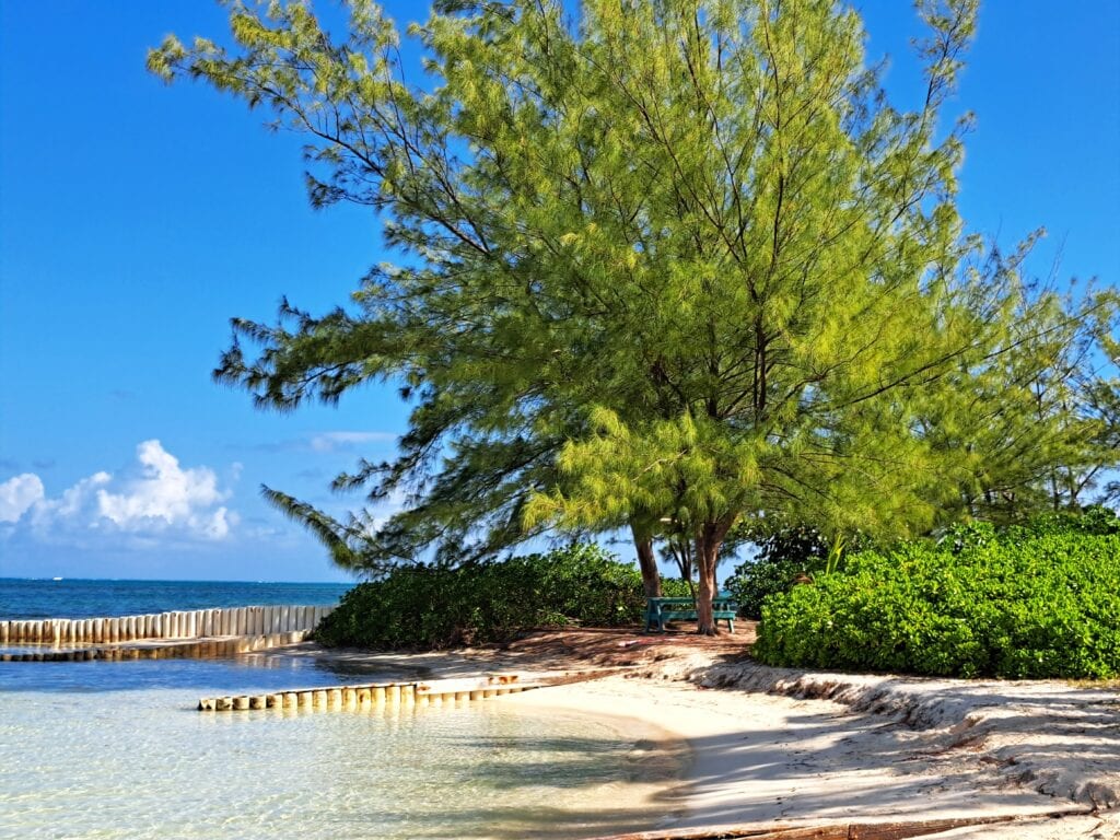 Starfish Beach ohne Gaeste