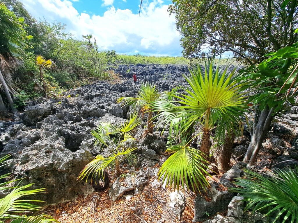 The Hell Aussichtsplattform