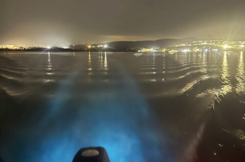 Beitragsbild Luminous Lagoon