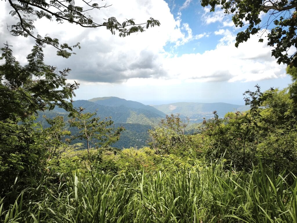 Blue Mountains 01