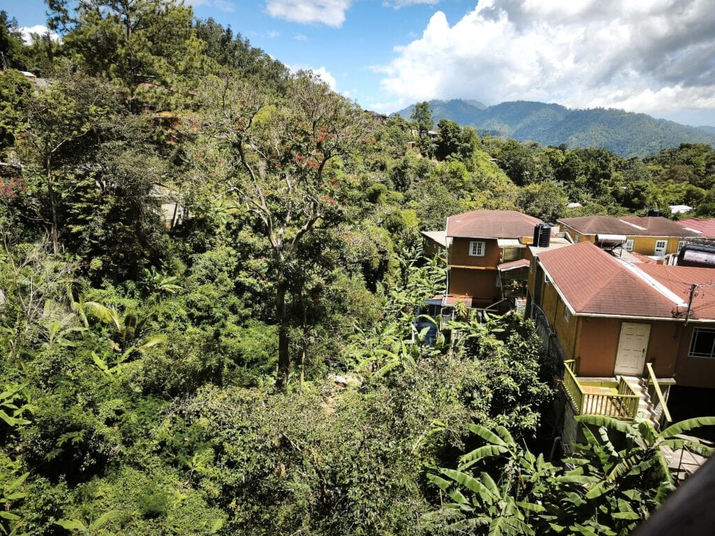 Blue Mountains 09