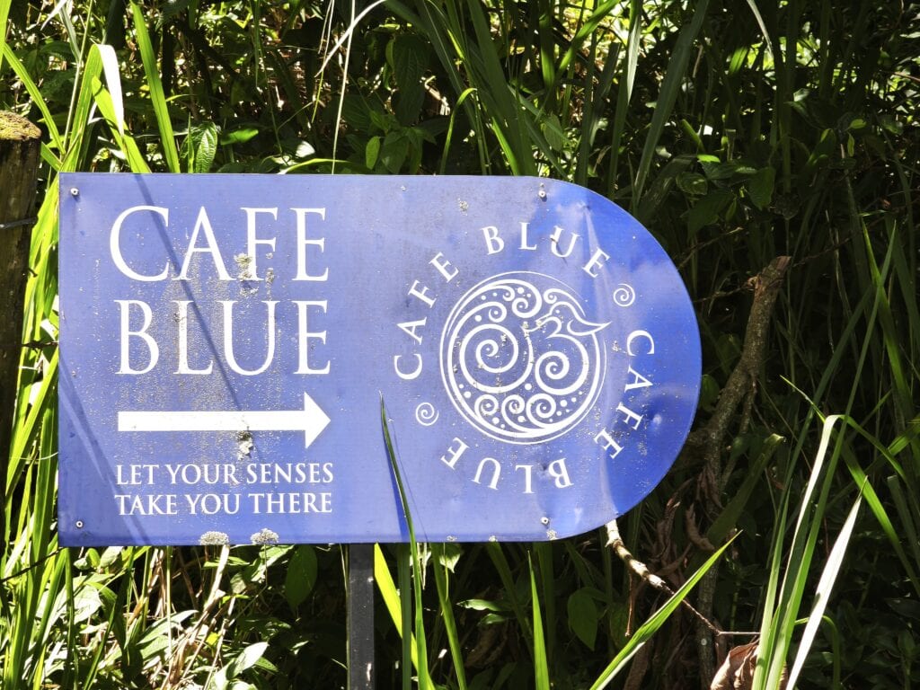 Blue Mountains 10