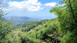 Blue Mountains, Jamaika – Zwischen Wolkenwald, Kaffee & Weitblick