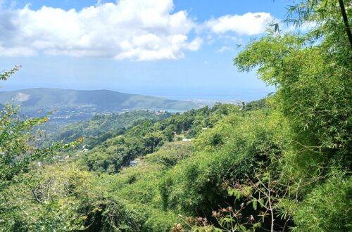 Blue Mountains TB