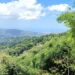 Blue Mountains TB