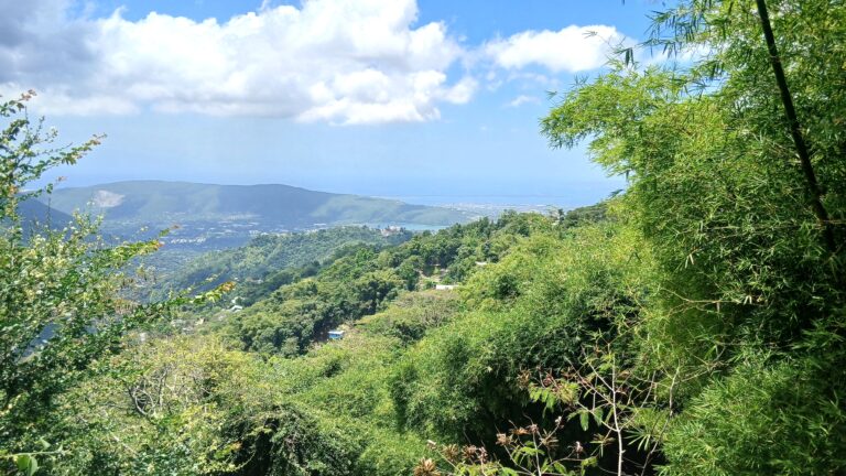 Blue Mountains, Jamaika – Zwischen Wolkenwald, Kaffee & Weitblick
