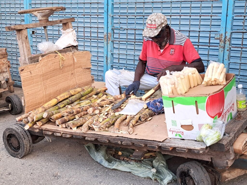 Downtown Kingston 05