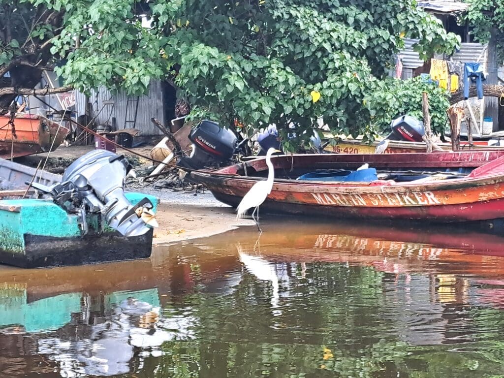 Einheimischensiedlung Fluss Negril