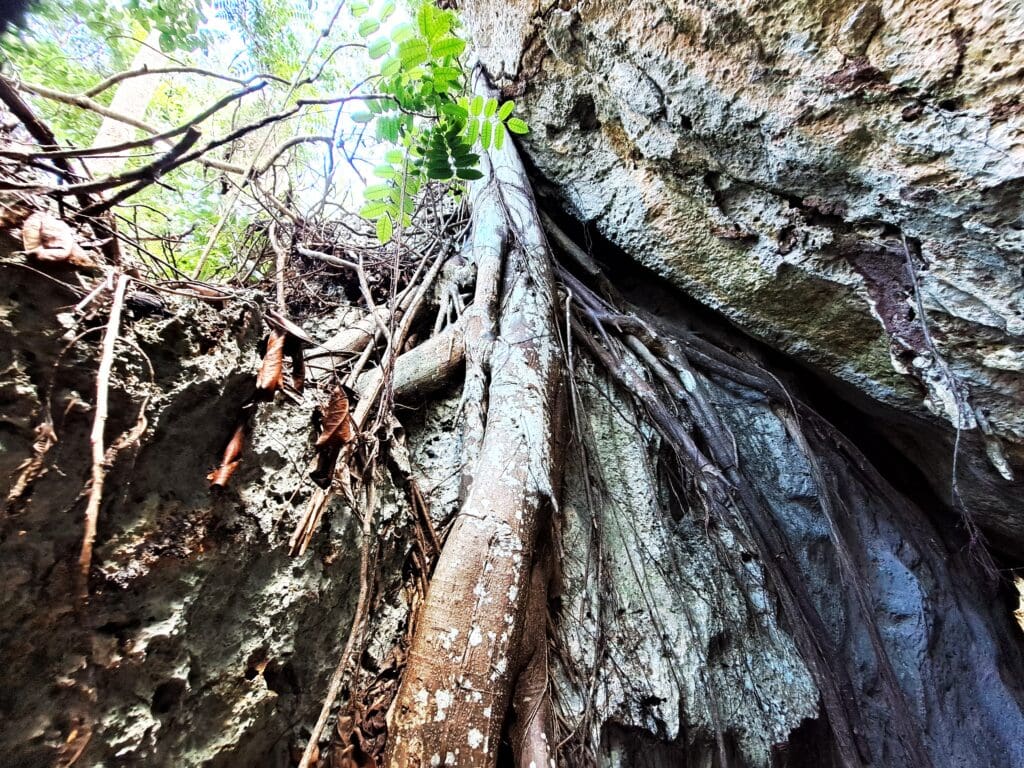 Green Grotto Caves 7