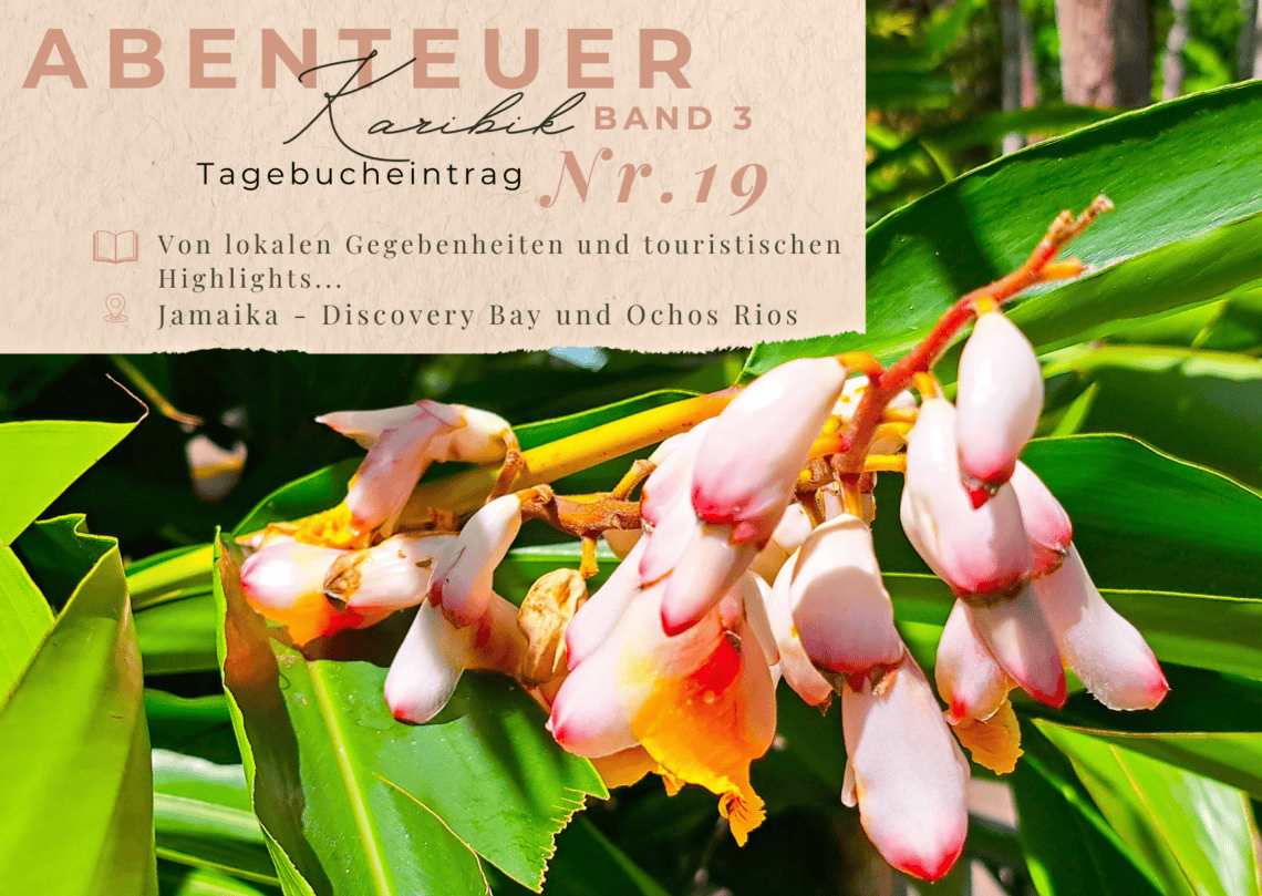 Karibiktagebuch III 19 Discovery Bay und Ochos Rios