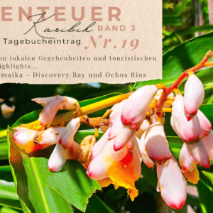 Karibik - Tagebuch III - Discovery Bay und Ochos Rios